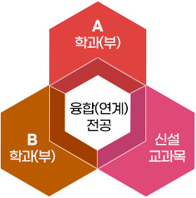 a학과(부)+b학과(부)+신설교과목 =융합연계전공