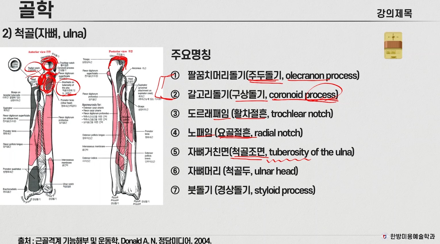 근골격계 운동학 목요특강7