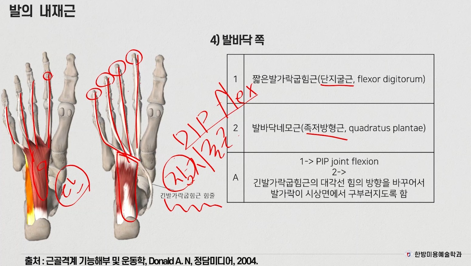 겨울방학 릴레이 특강