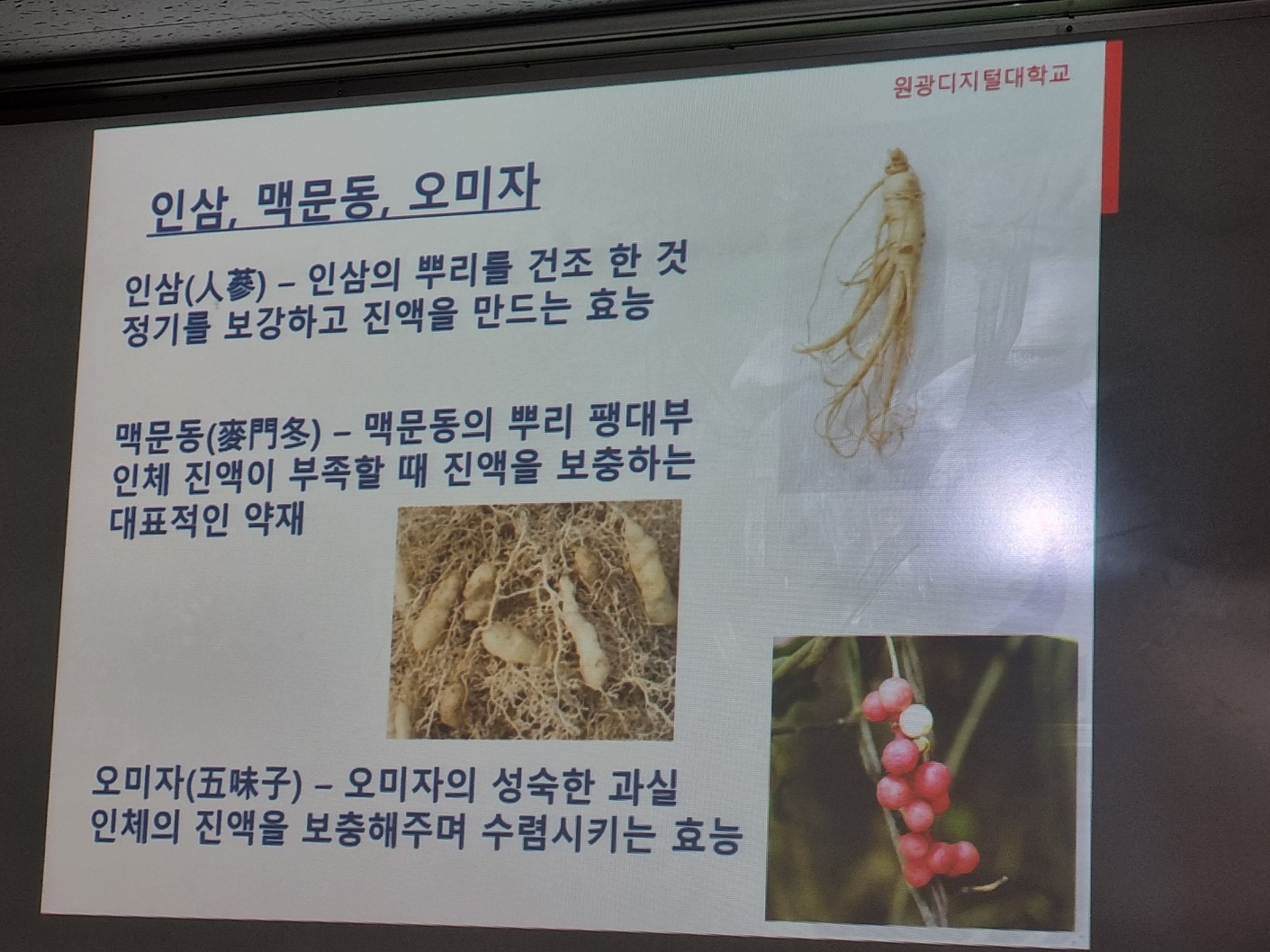 7월 대전충청지역회 특강2