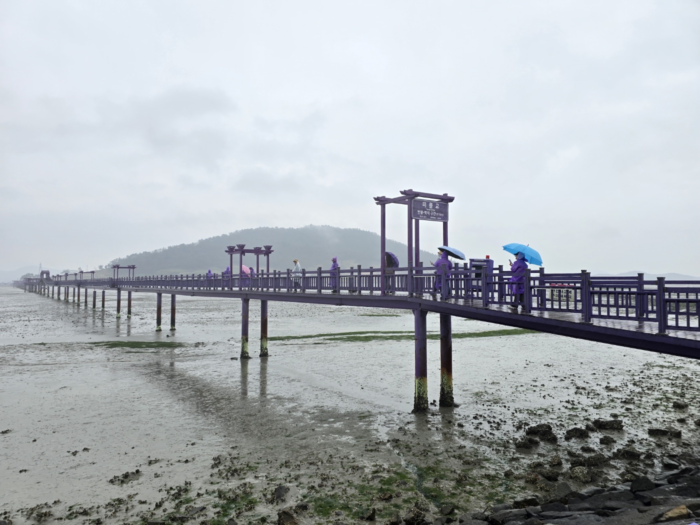 신안군 퍼플섬 둘레길 탐방2