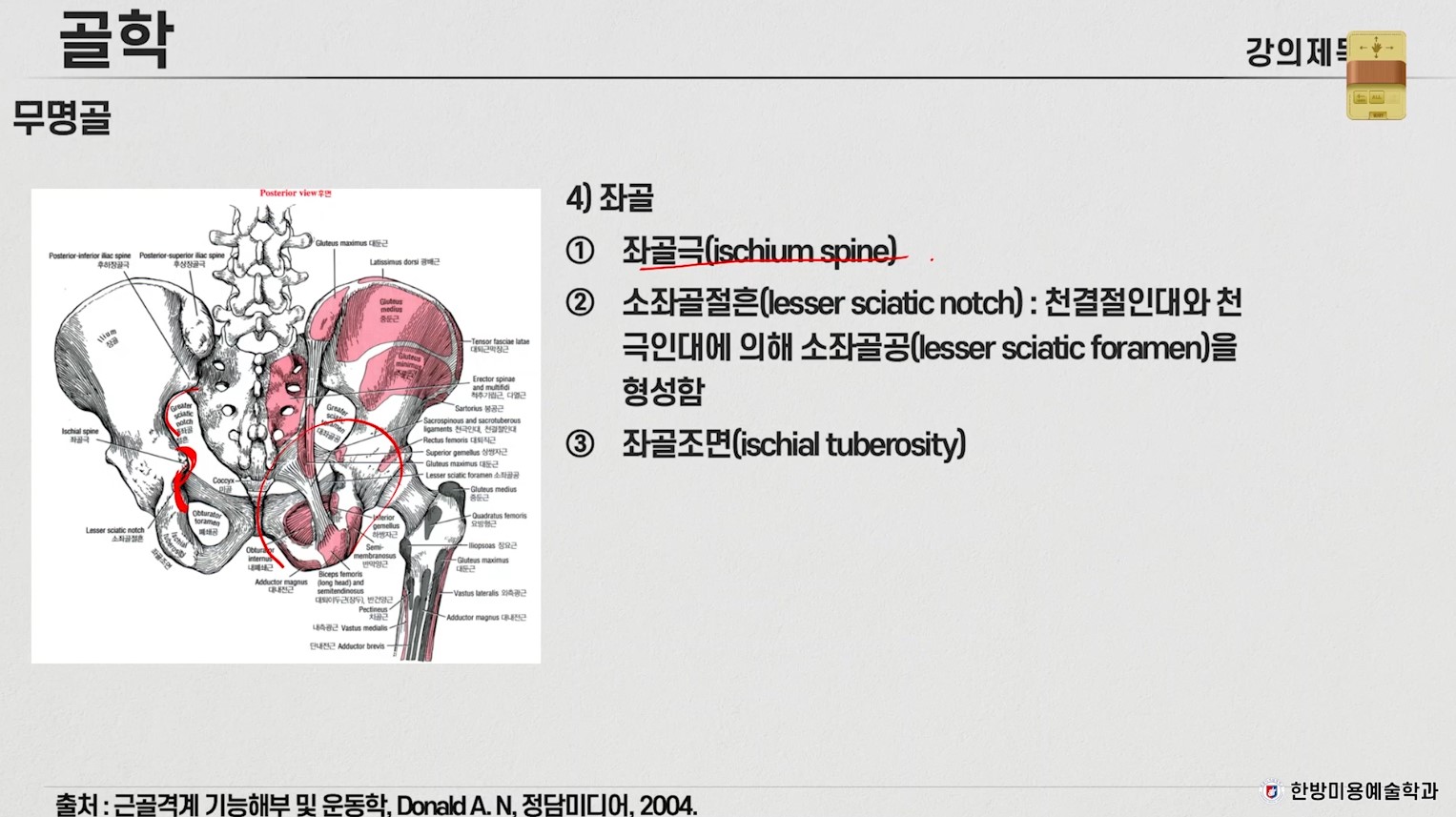 근골격계 운동학 목요특강11