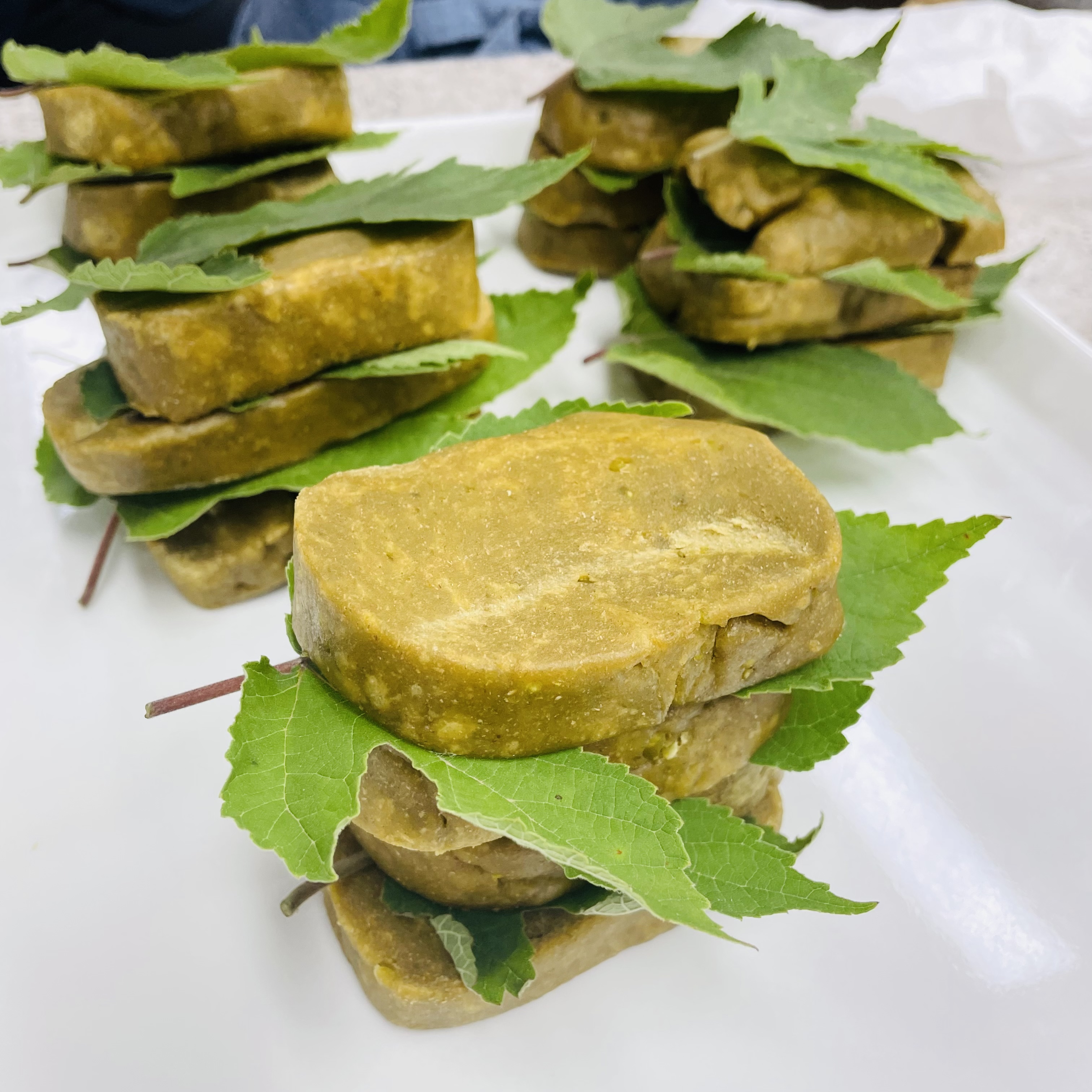 6월 원광발효연구회 특강5