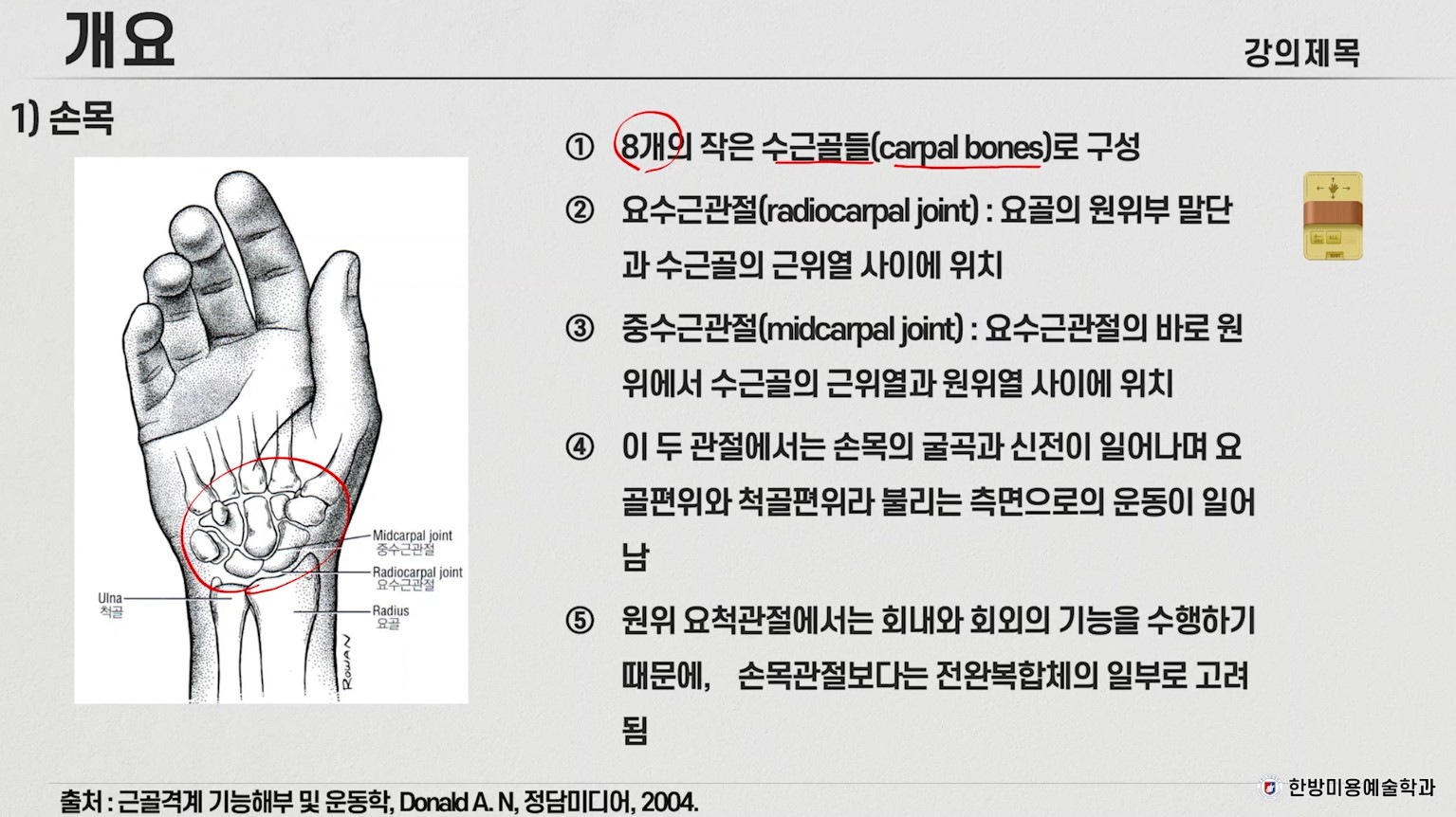 근골격계 운동학 목요특강8