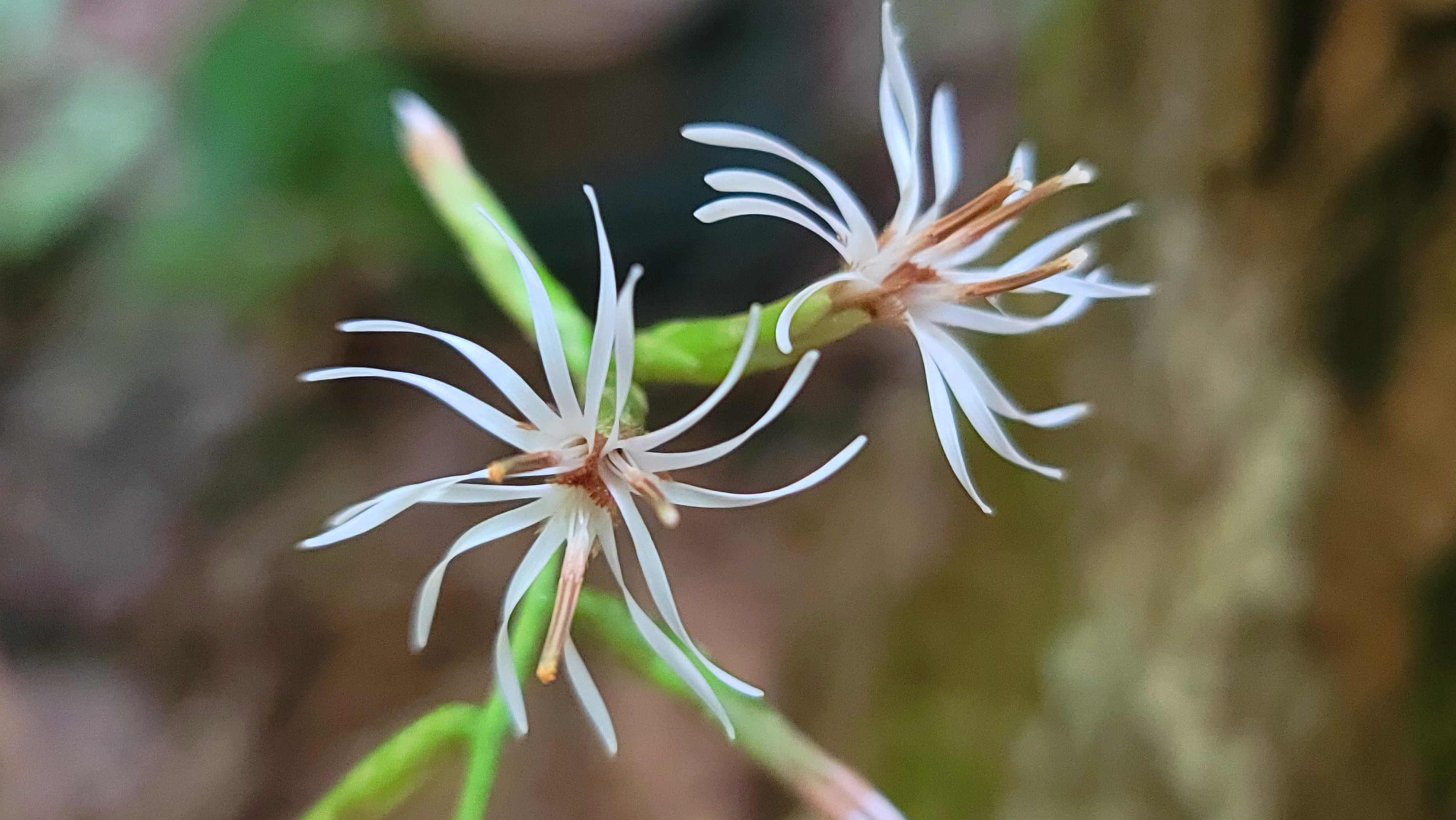 오대산 치유자원 탐방 프로그램 현장2