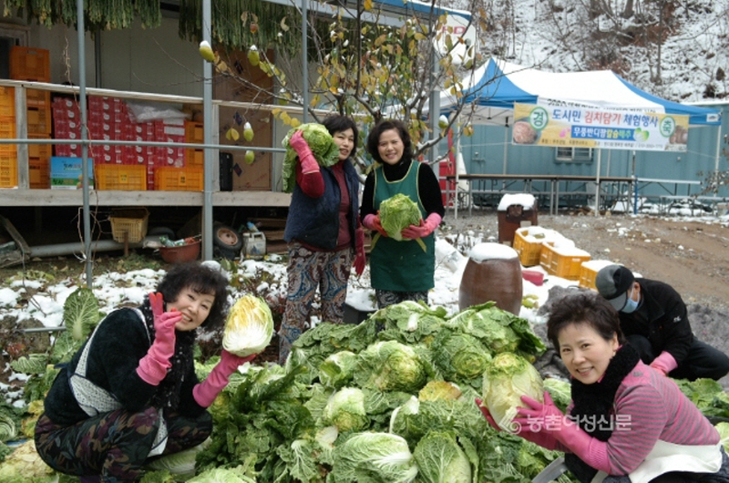 도시민 김치담기 체험행사
