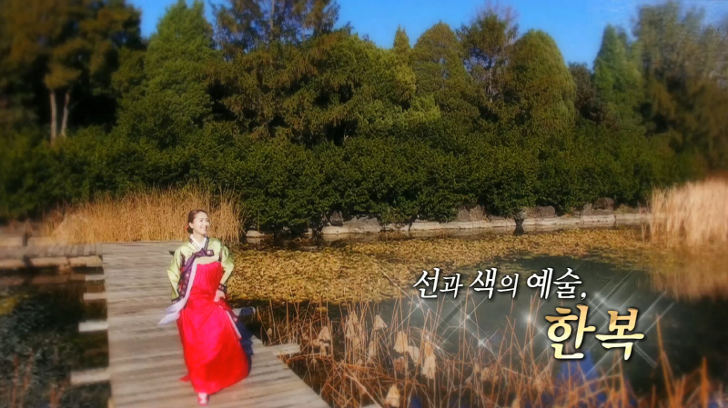 선과 색의 예술, 한복 자막 영상화면