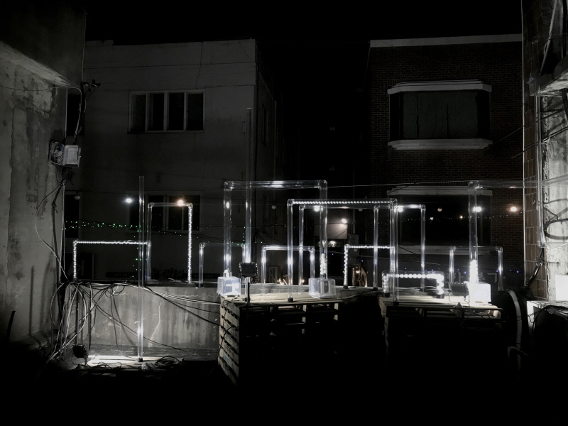 김예은작가-빛의 길 작품