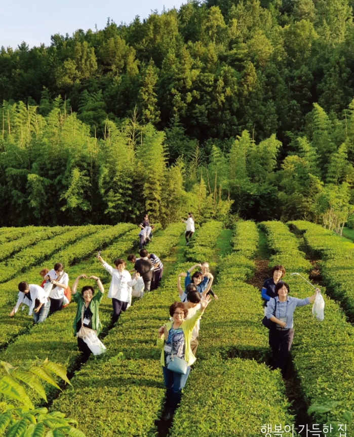 산에서 자라는 약재를 직접 보고 체험하는 본초 현장 탐방 모습